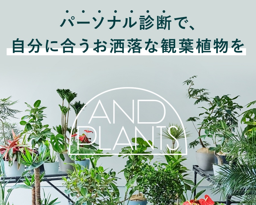 AND PLANTSのサムネイル