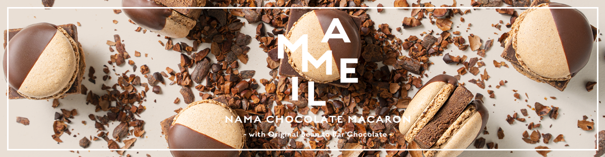 MAMEIL NAMA CHOCOLATE MACARON