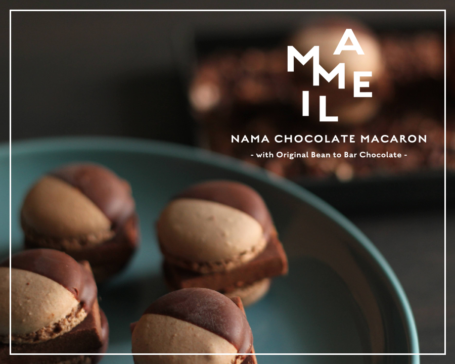 MAMEIL NAMA CHOCOLATE MACARON